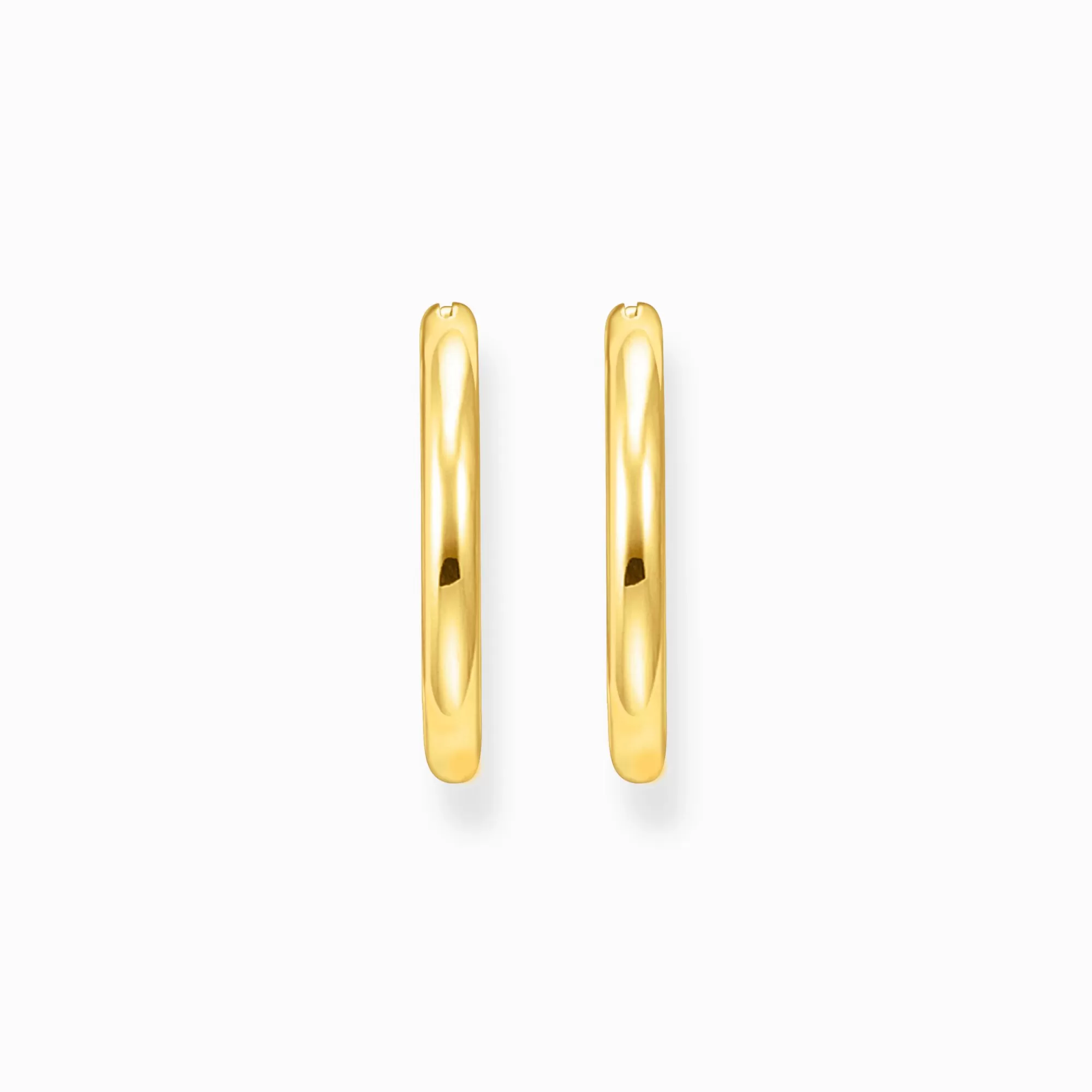 THOMAS SABO Gold-plated classic hoop earrings in wider shape-Women Hoop Earrings