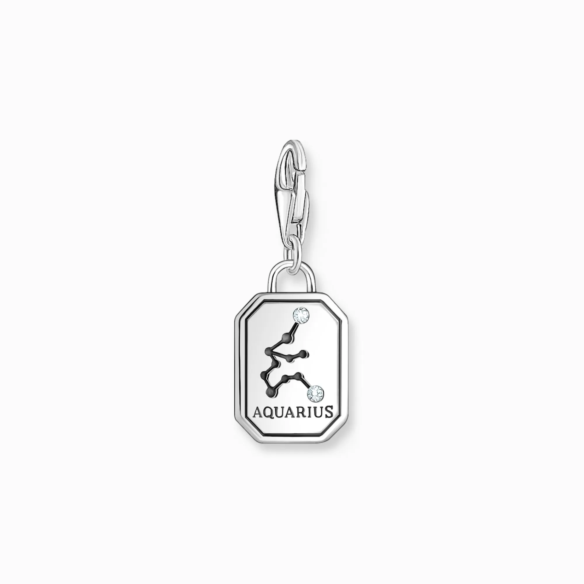 THOMAS SABO Silver charm pendant zodiac sign Aquarius with zirconia-Women Charms | Charms